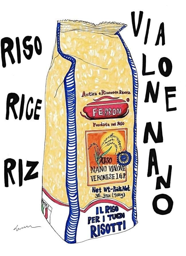 한로즈_홀리데이 마카 드로잉