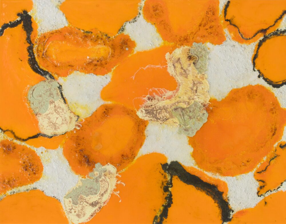 박경문_생 (Vital)