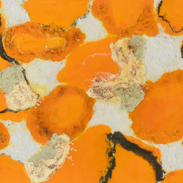 박경문_생 (Vital)