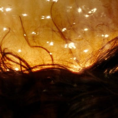 sol kim_보이지 않는 존재 Dream#1