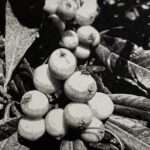 송은주_with[함께]