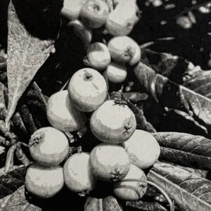 송은주_with[함께]