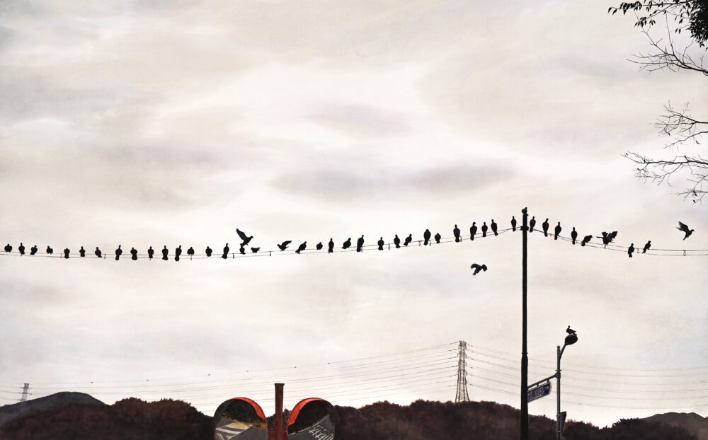 김채영_줄타기의 질서