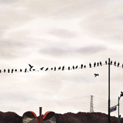 김채영_줄타기의 질서