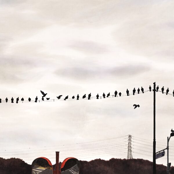 김채영_줄타기의 질서